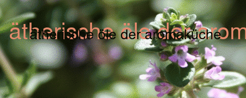 ätherische öle der aromaküche