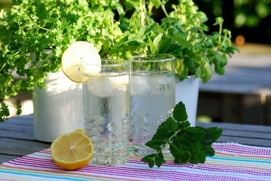 Aromatische Eiswürfel für jeden Geschmack!