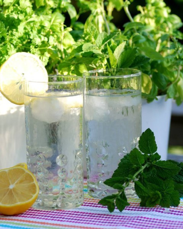 Aromatische Eiswürfel für jeden Geschmack!